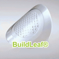 💥BuildLeaf® has a surprise upgrade just for you! You've already got an amazing offer - but now you've unlocked an even better one: 👉 You'll get a massive 55% off your next purchase - for the next two minutes only!